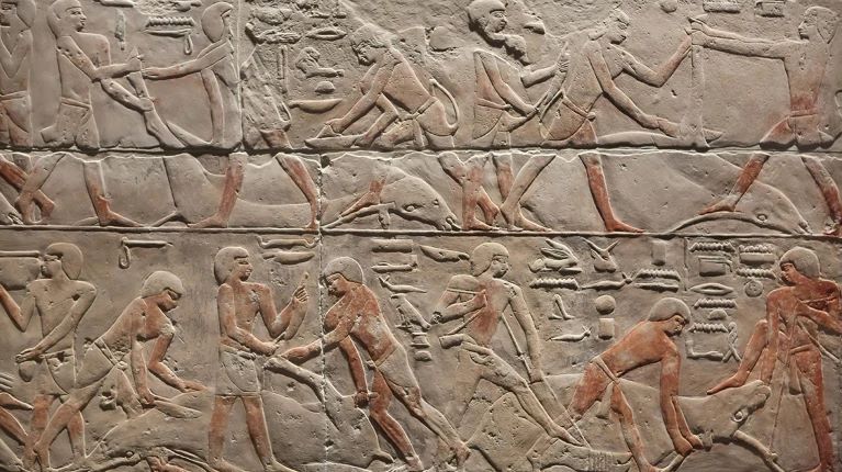ترك عصر الدولة القديمة (2686-2125 قبل الميلاد) إرثًا كبيرًا من القطع الأثرية الخالدة، لكنه لم يخلِّف وراءه سوى القليل من الحمض النووي.&nbsp;